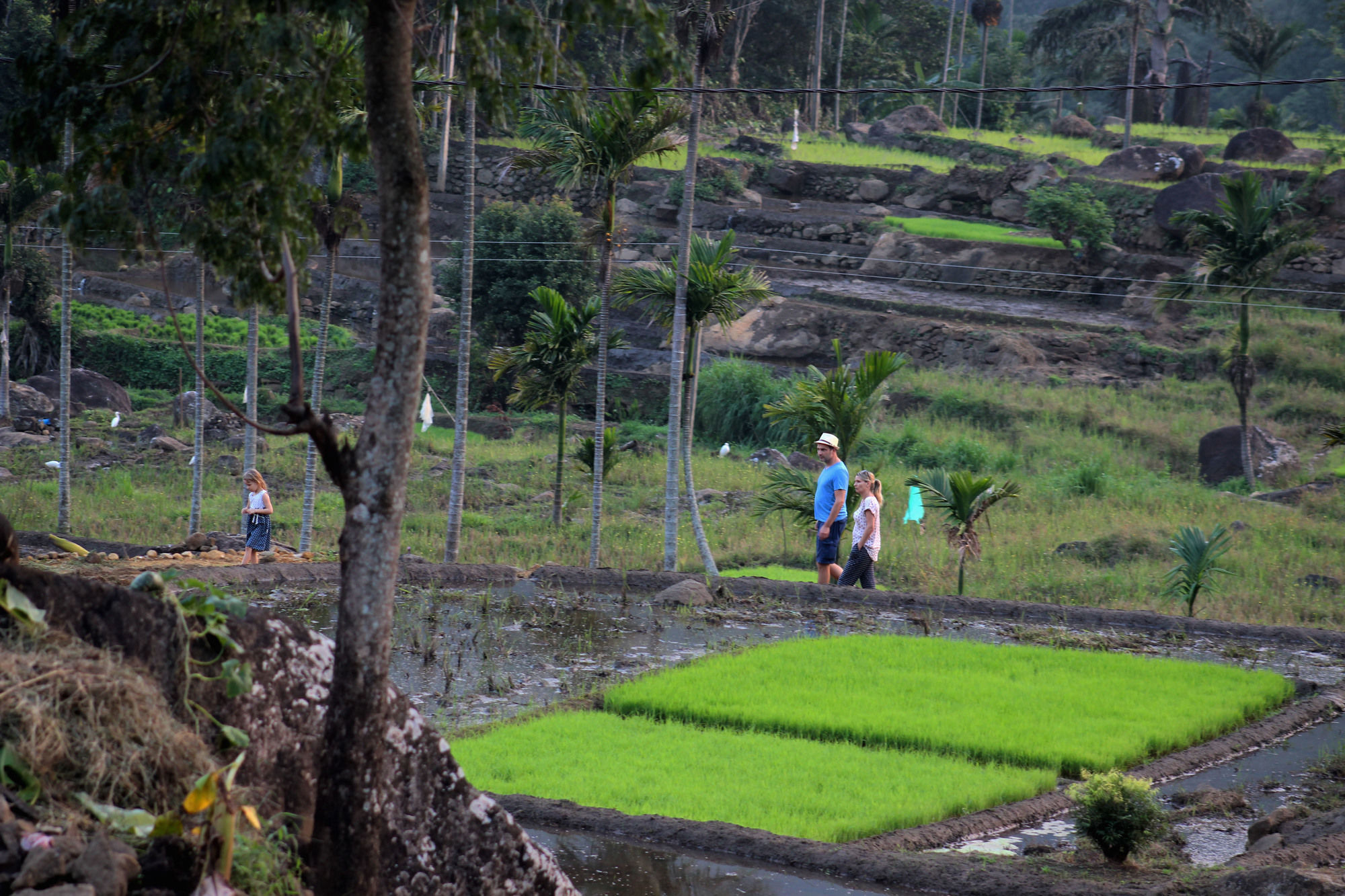 The Glenrock Wellness Nature Resort Belihuloya Bagian luar foto