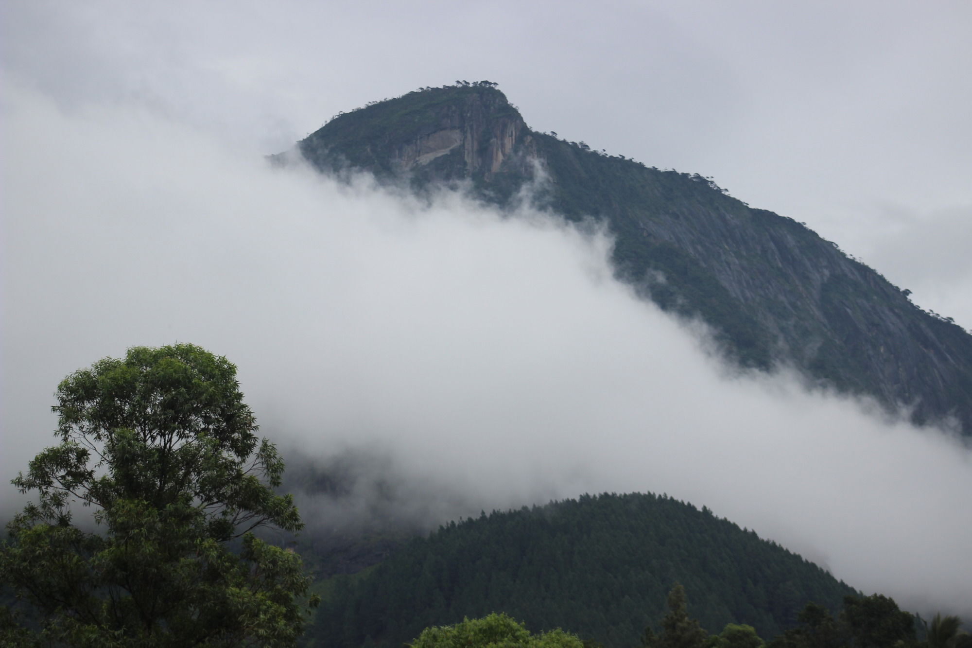 The Glenrock Wellness Nature Resort Belihuloya Bagian luar foto